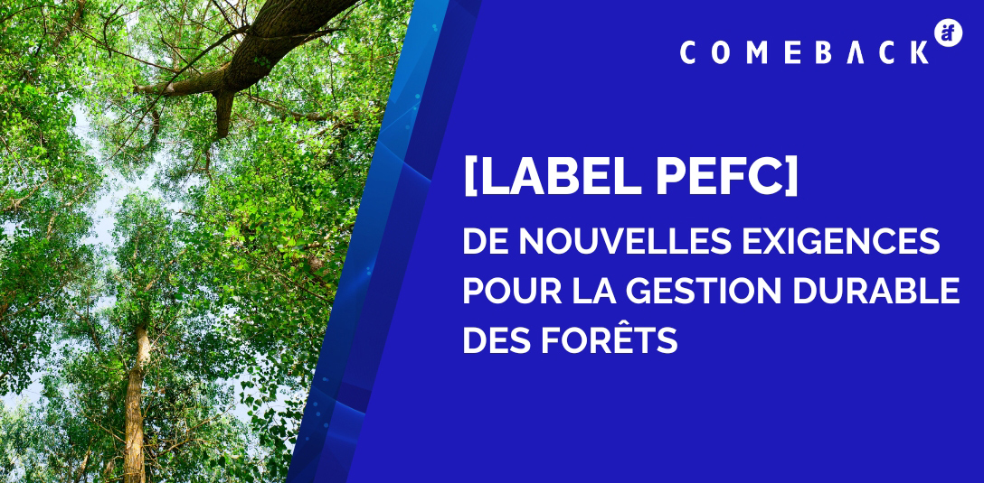 Article : les nouvelles exigences PEFC en vigueur.