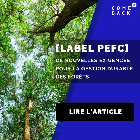 vignette-article-comeback-2025-pefc